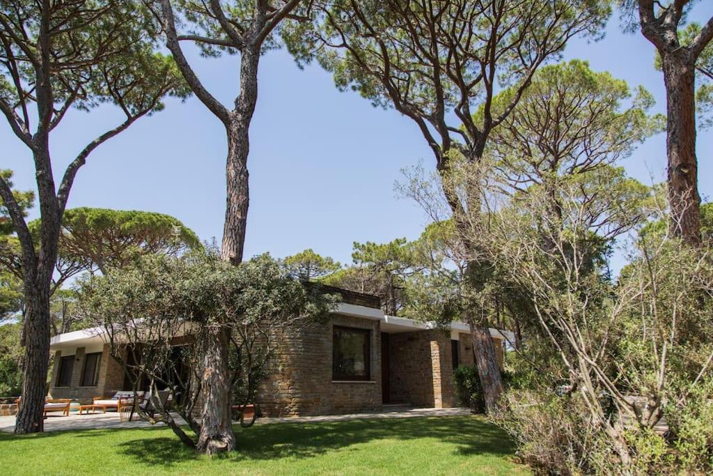 Villa Roccapini Castiglione della Pescaia Kültér fotó