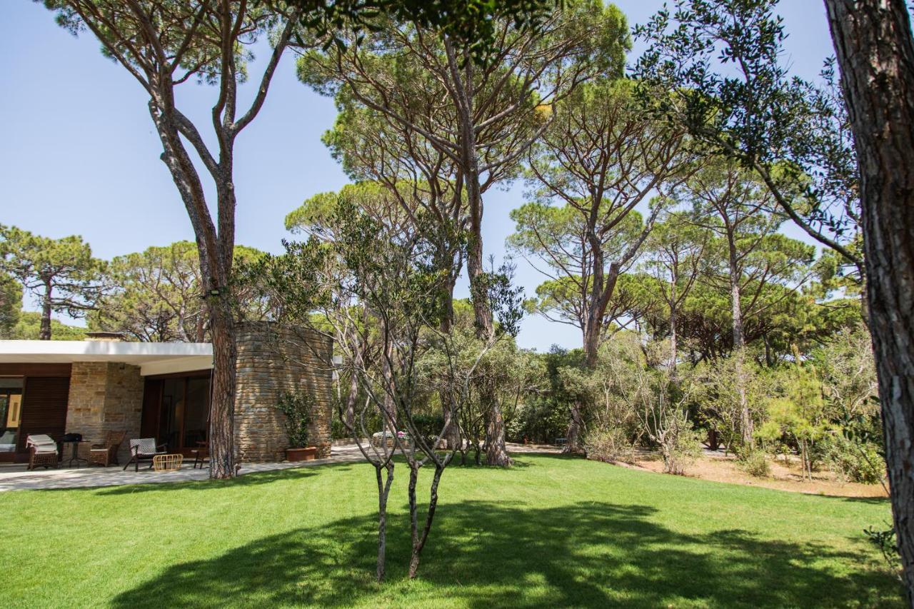 Villa Roccapini Castiglione della Pescaia Kültér fotó